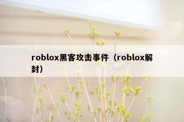 roblox黑客攻击事件（roblox解封）