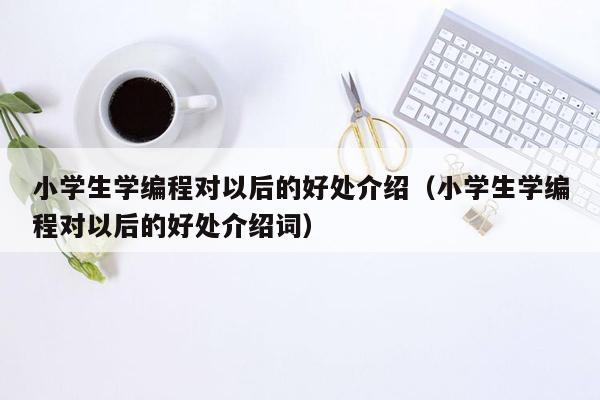 小学生学编程对以后的好处介绍（小学生学编程对以后的好处介绍词）