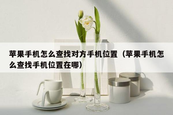 苹果手机怎么查找对方手机位置（苹果手机怎么查找手机位置在哪）