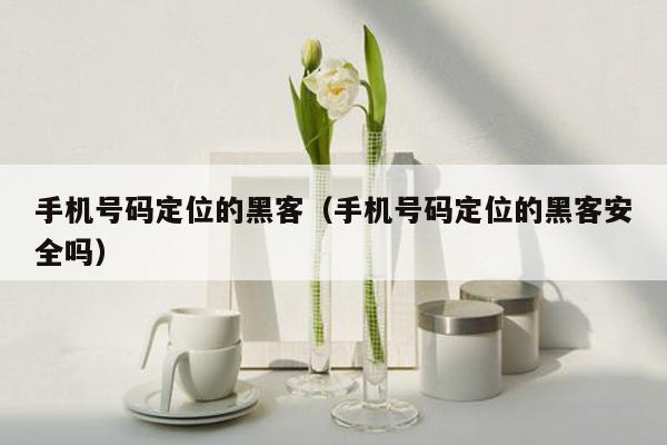 手机号码定位的黑客（手机号码定位的黑客安全吗）