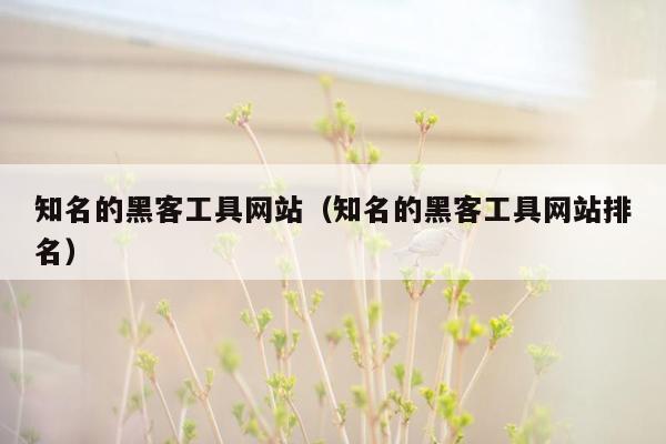 知名的黑客工具网站（知名的黑客工具网站排名）