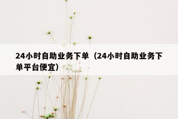 24小时自助业务下单（24小时自助业务下单平台便宜）