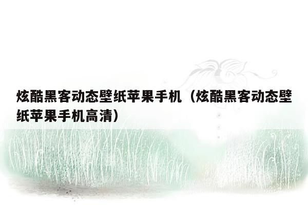 炫酷黑客动态壁纸苹果手机（炫酷黑客动态壁纸苹果手机高清）