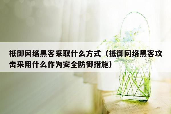 抵御网络黑客采取什么方式（抵御网络黑客攻击采用什么作为安全防御措施）