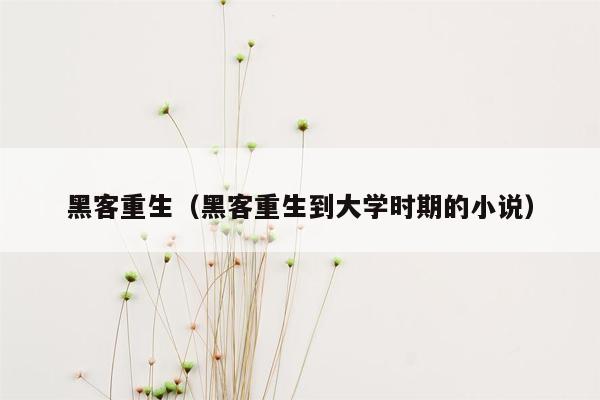 黑客重生（黑客重生到大学时期的小说）