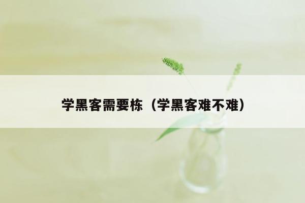 学黑客需要栋（学黑客难不难）