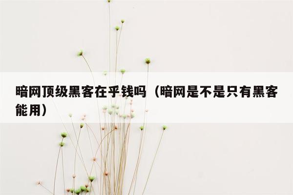 暗网顶级黑客在乎钱吗（暗网是不是只有黑客能用）