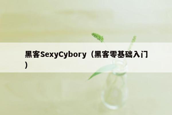黑客SexyCybory（黑客零基础入门）