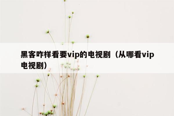 黑客咋样看要vip的电视剧（从哪看vip电视剧）