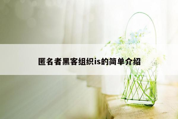 匿名者黑客组织is的简单介绍