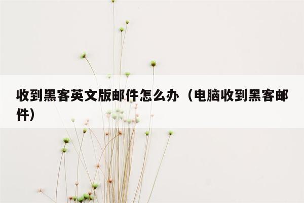 收到黑客英文版邮件怎么办（电脑收到黑客邮件）