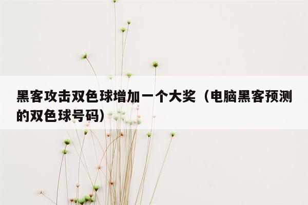 黑客攻击双色球增加一个大奖（电脑黑客预测的双色球号码）