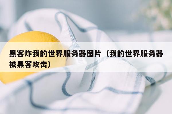 黑客炸我的世界服务器图片（我的世界服务器被黑客攻击）