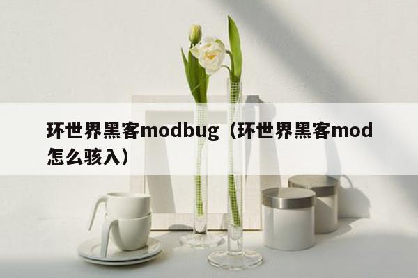 环世界黑客modbug（环世界黑客mod怎么骇入）