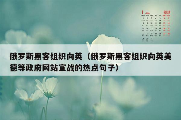 俄罗斯黑客组织向英（俄罗斯黑客组织向英美德等政府网站宣战的热点句子）