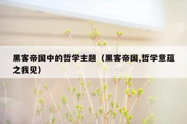 黑客帝国中的哲学主题（黑客帝国,哲学意蕴之我见）