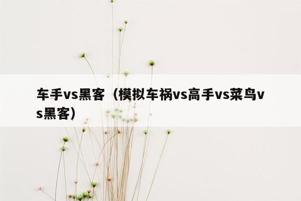 车手vs黑客（模拟车祸vs高手vs菜鸟vs黑客）