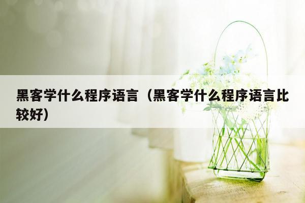 黑客学什么程序语言（黑客学什么程序语言比较好）