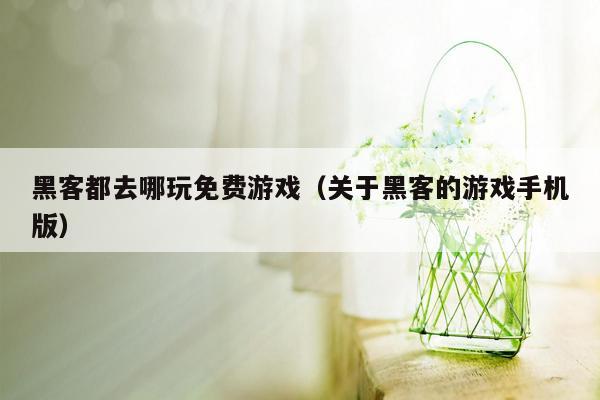 黑客都去哪玩免费游戏（关于黑客的游戏手机版）