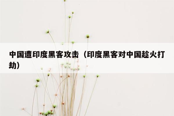 中国遭印度黑客攻击（印度黑客对中国趁火打劫）