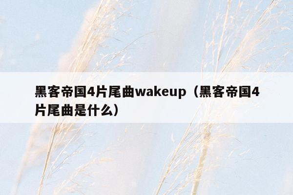 黑客帝国4片尾曲wakeup（黑客帝国4片尾曲是什么）