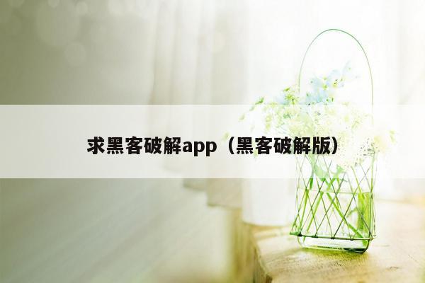 求黑客破解app（黑客破解版）