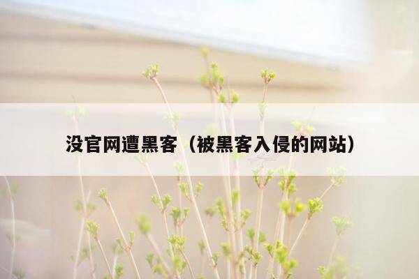 没官网遭黑客（被黑客入侵的网站）