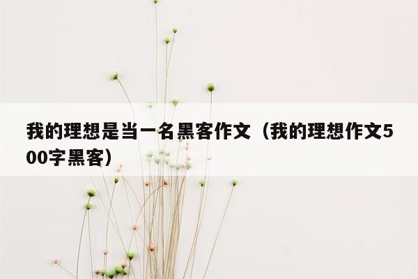 我的理想是当一名黑客作文（我的理想作文500字黑客）