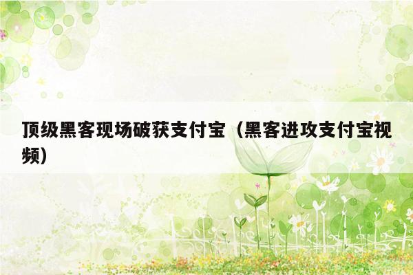 顶级黑客现场破获支付宝（黑客进攻支付宝视频）