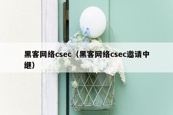 黑客网络csec（黑客网络csec邀请中继）