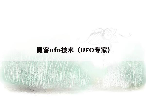 黑客ufo技术（UFO专家）