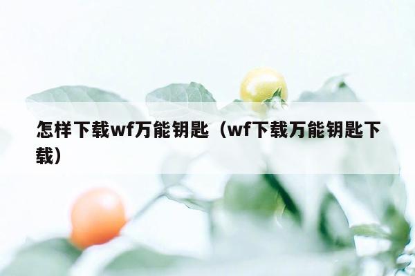 怎样下载wf万能钥匙（wf下载万能钥匙下载）