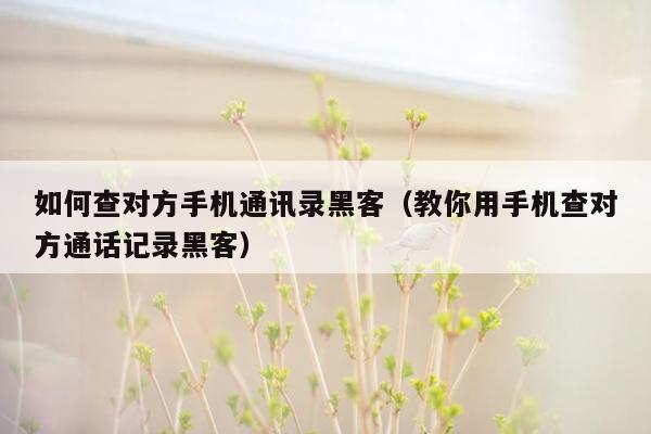 如何查对方手机通讯录黑客（教你用手机查对方通话记录黑客）