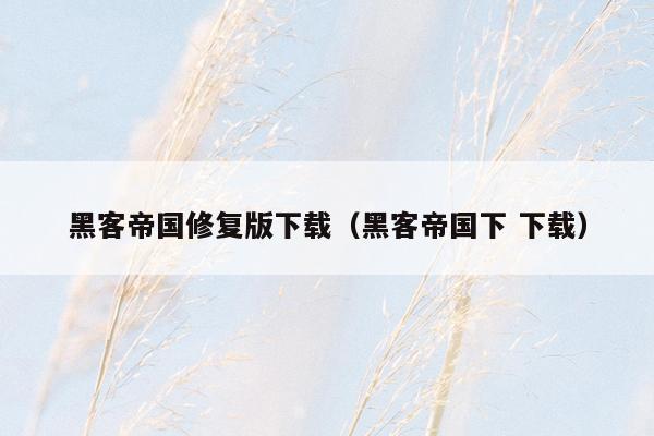 黑客帝国修复版下载（黑客帝国下 下载）