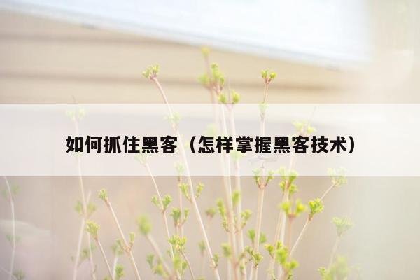 如何抓住黑客（怎样掌握黑客技术）