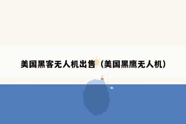 美国黑客无人机出售（美国黑鹰无人机）