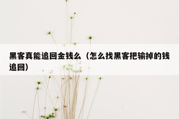 黑客真能追回金钱么（怎么找黑客把输掉的钱追回）