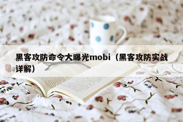 黑客攻防命令大曝光mobi（黑客攻防实战详解）