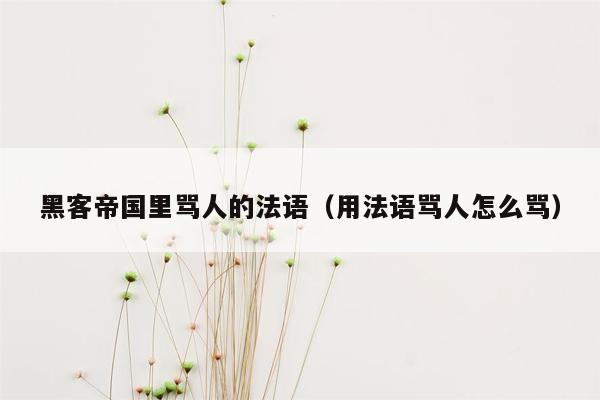 黑客帝国里骂人的法语（用法语骂人怎么骂）