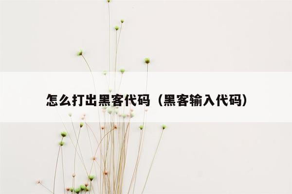 怎么打出黑客代码（黑客输入代码）