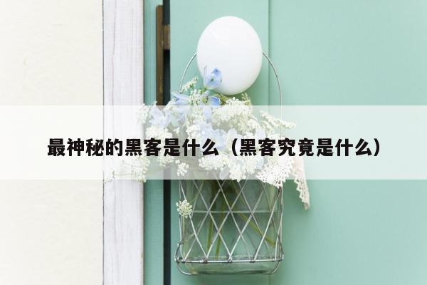 最神秘的黑客是什么（黑客究竟是什么）