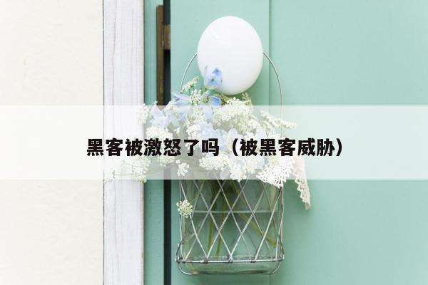 黑客被激怒了吗（被黑客威胁）