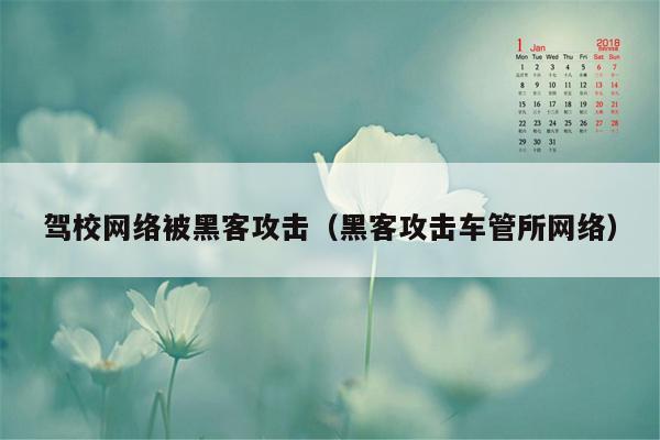 驾校网络被黑客攻击（黑客攻击车管所网络）