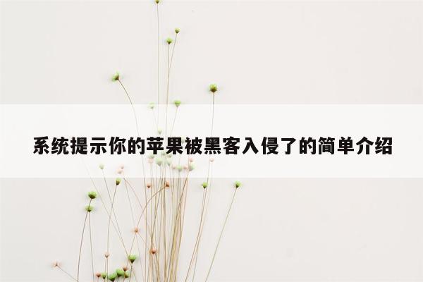 系统提示你的苹果被黑客入侵了的简单介绍