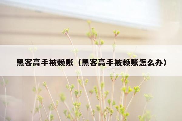 黑客高手被赖账（黑客高手被赖账怎么办）