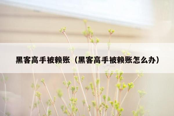 黑客高手被赖账（黑客高手被赖账怎么办）