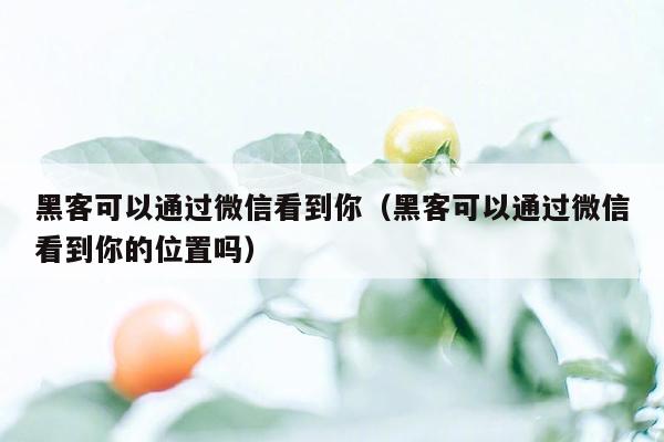 黑客可以通过微信看到你（黑客可以通过微信看到你的位置吗）