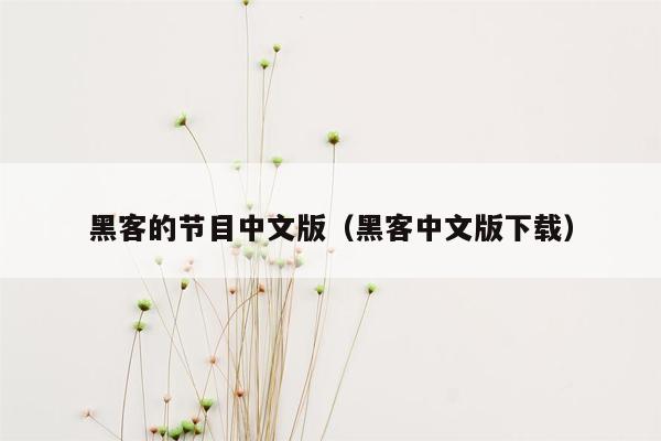 黑客的节目中文版（黑客中文版下载）