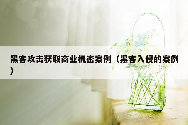 黑客攻击获取商业机密案例（黑客入侵的案例）