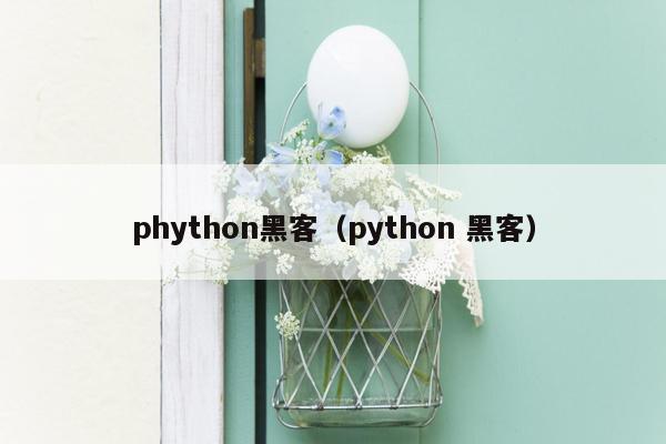 phython黑客（python 黑客）